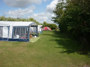 boerderijcamping Noord Holland, boerencamping zijnm op Texel